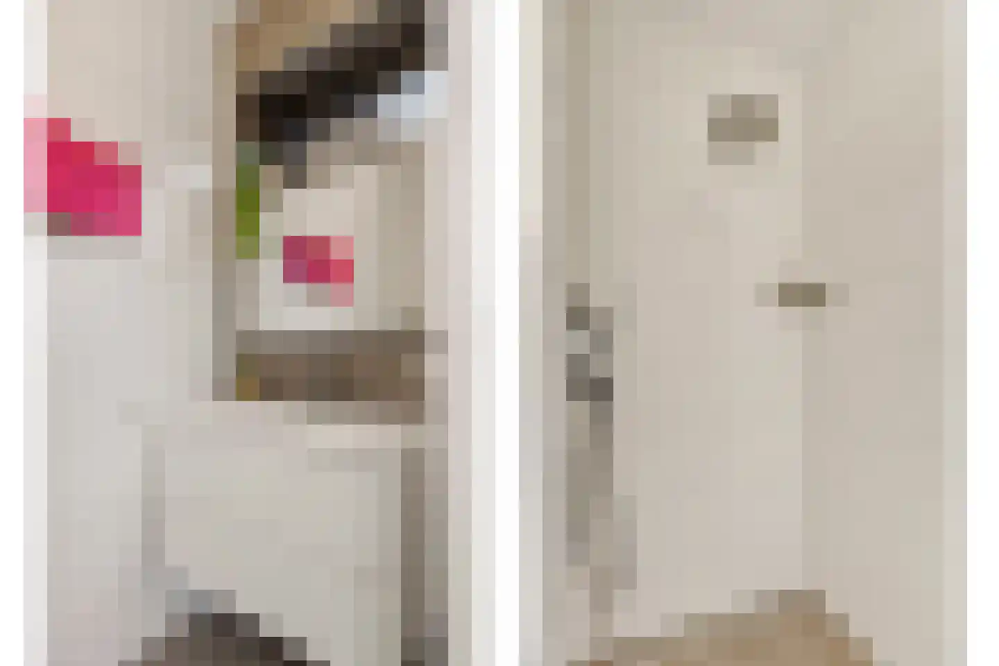 Eikenpage 4 Mierlo thumbnail 21