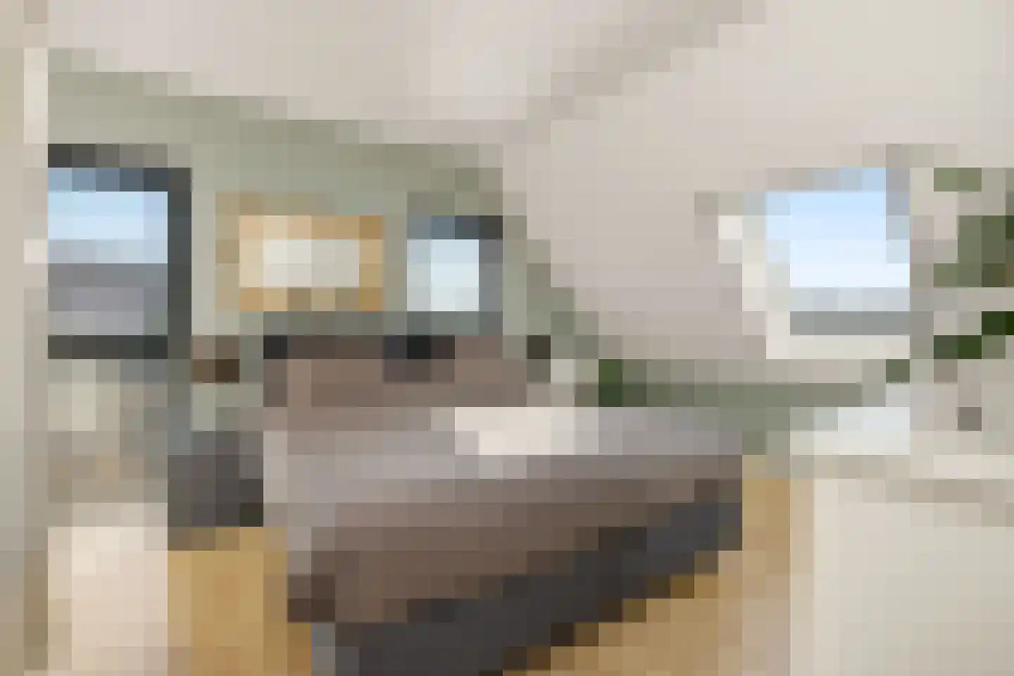 Eikenpage 4 Mierlo thumbnail 26