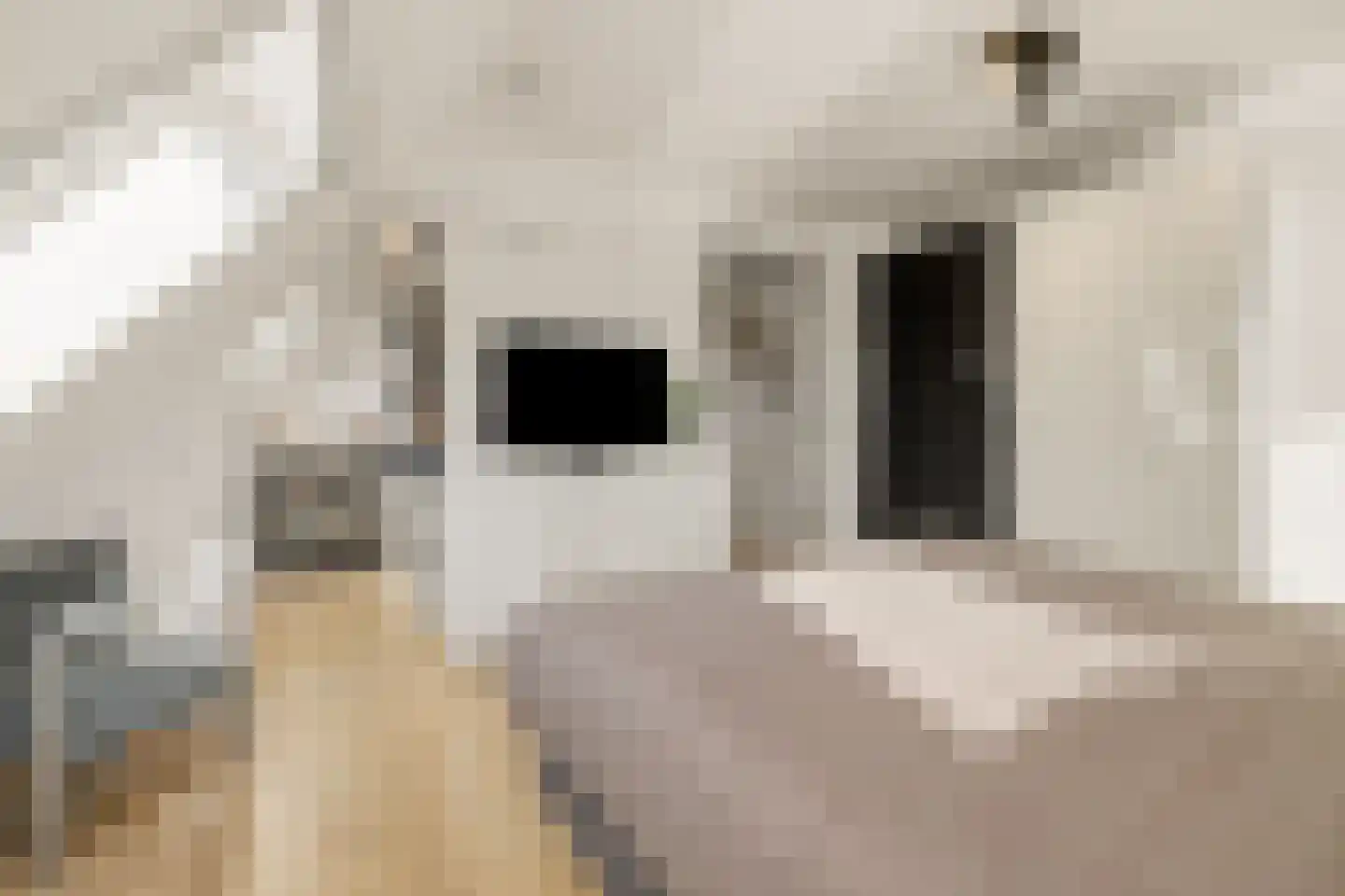 Eikenpage 4 Mierlo thumbnail 27