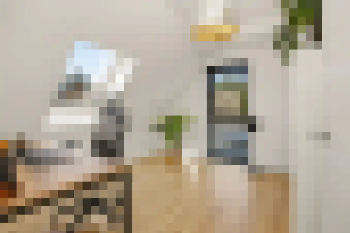 Eikenpage 4 Mierlo thumbnail 31