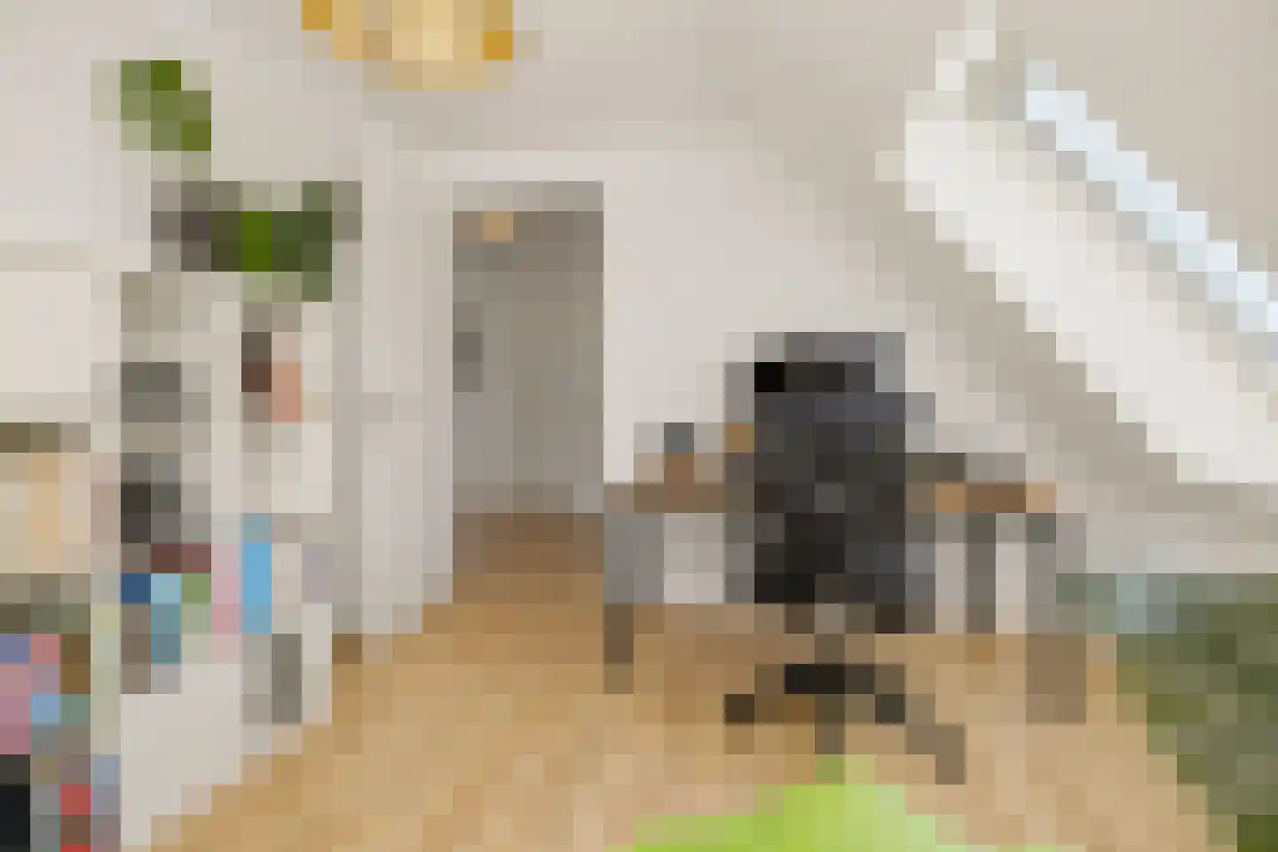 Eikenpage 4 Mierlo thumbnail 32