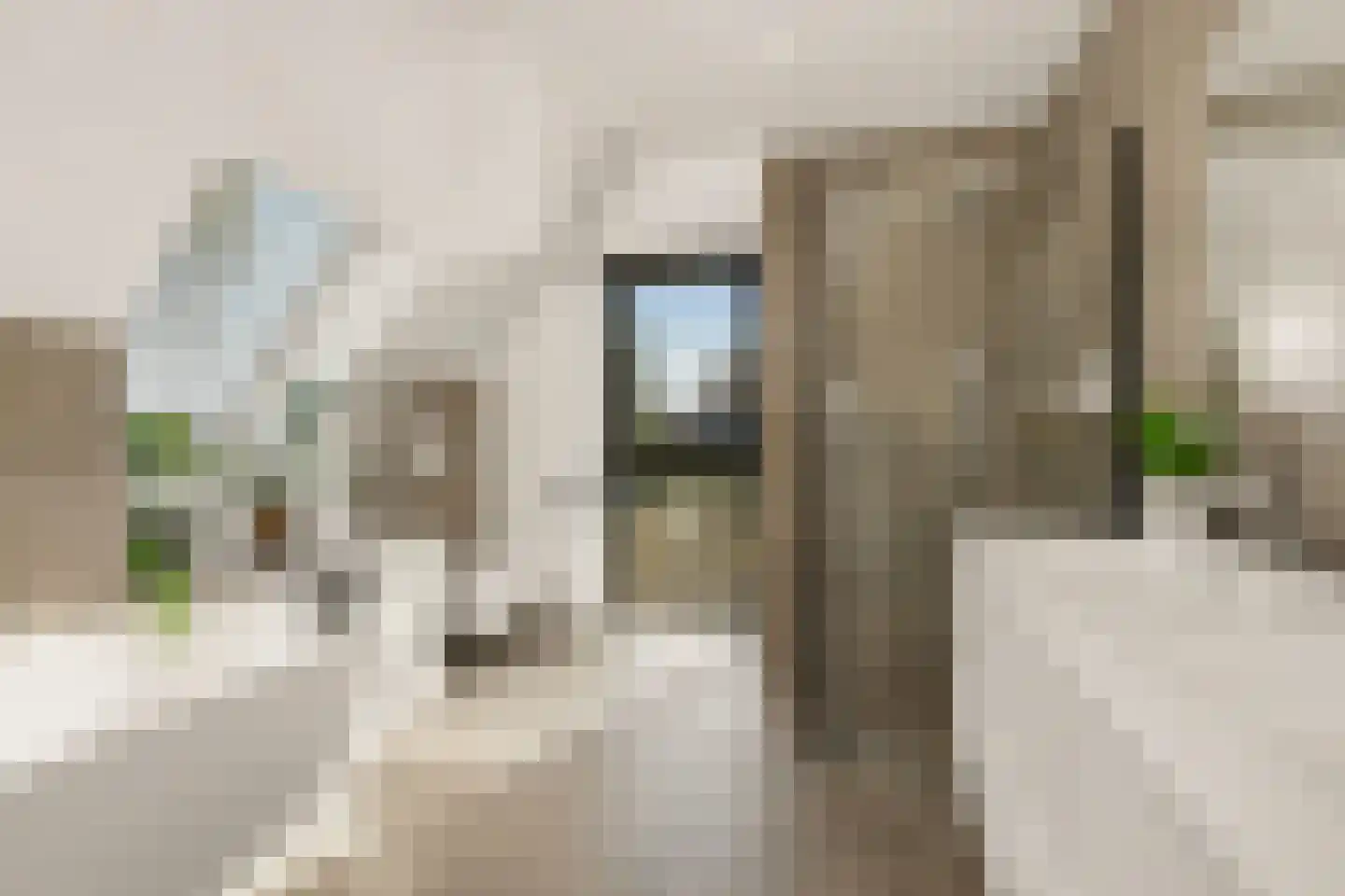 Eikenpage 4 Mierlo thumbnail 33