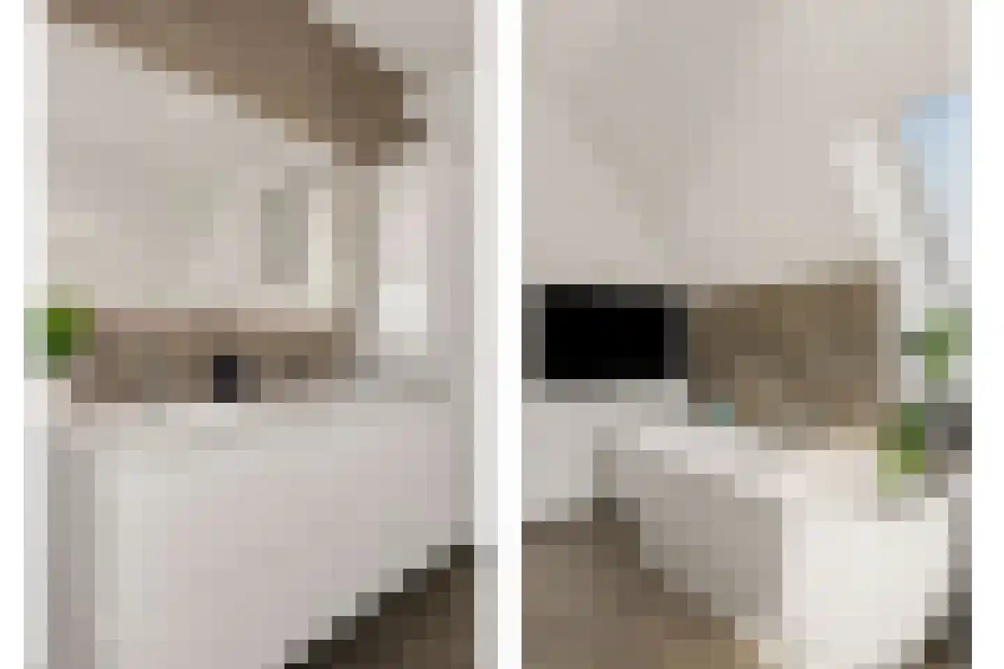 Eikenpage 4 Mierlo thumbnail 35