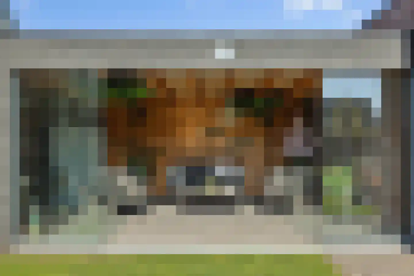 Eikenpage 4 Mierlo thumbnail 45