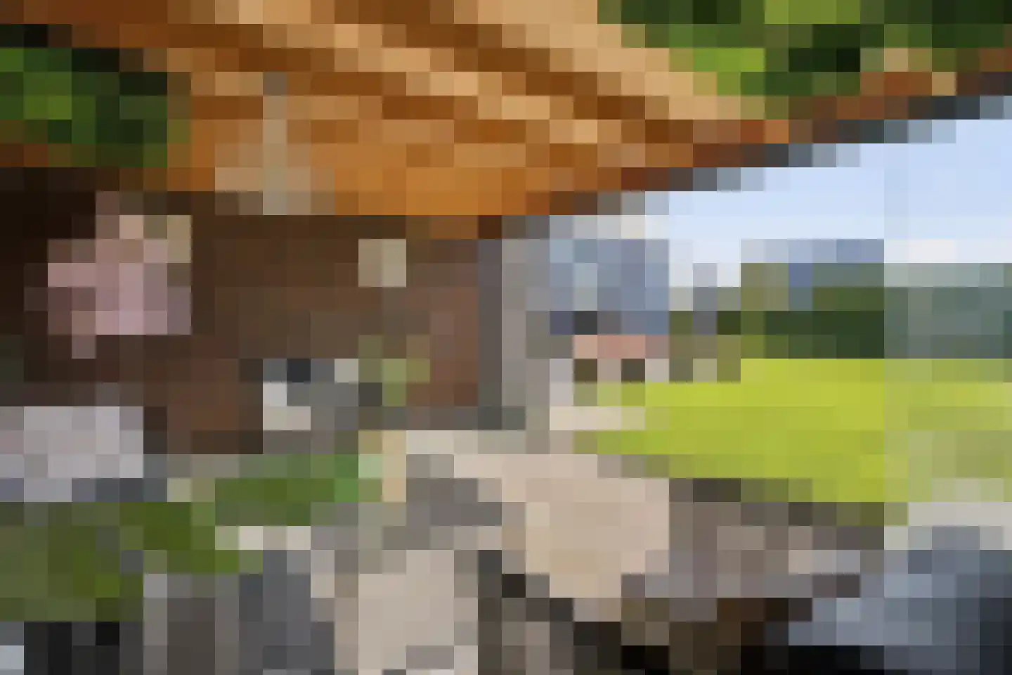 Eikenpage 4 Mierlo thumbnail 46