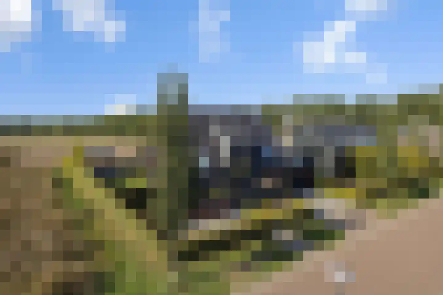 Eikenpage 4 Mierlo thumbnail 50
