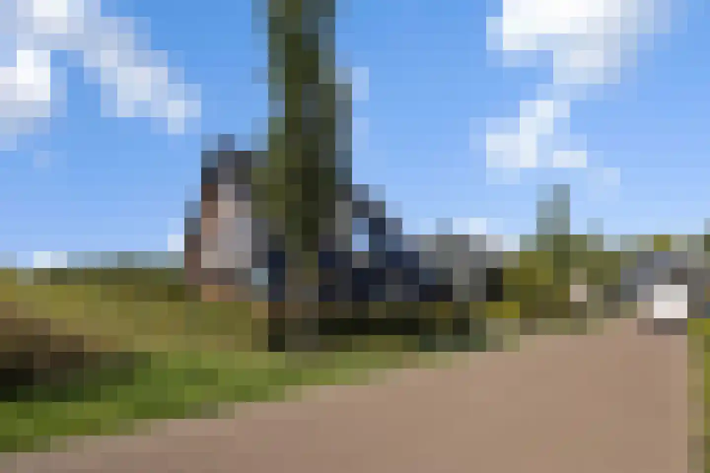 Eikenpage 4 Mierlo thumbnail 59