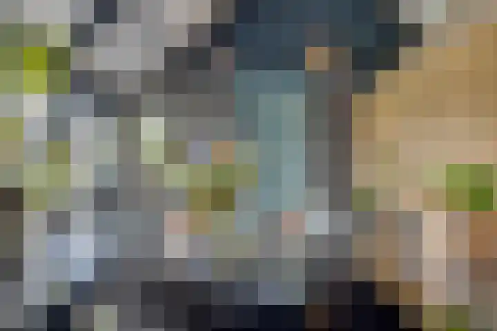 Eikenpage 9 Mierlo thumbnail 12