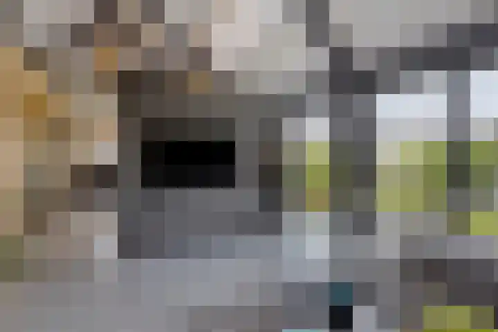 Eikenpage 9 Mierlo thumbnail 16