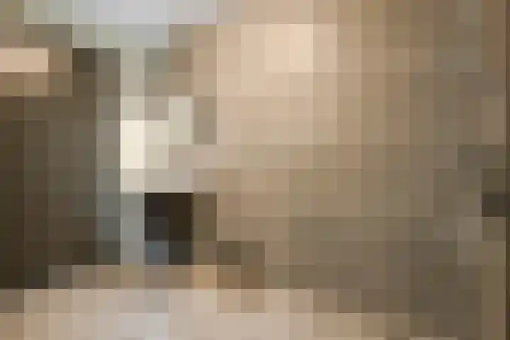 Eikenpage 9 Mierlo thumbnail 24