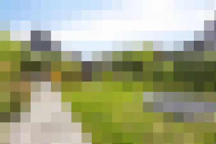 Eikenpage 9 Mierlo thumbnail 39