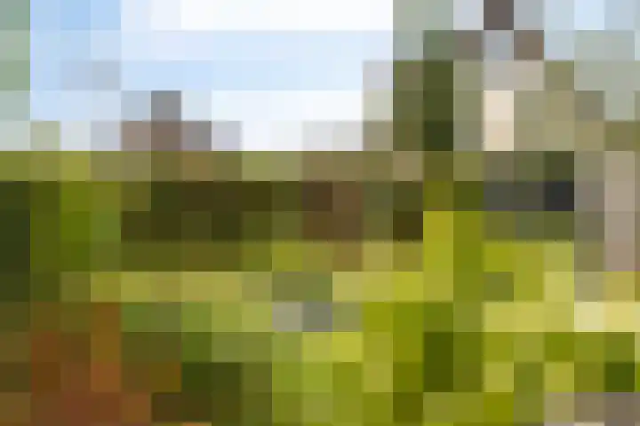 Eikenpage 9 Mierlo thumbnail 47