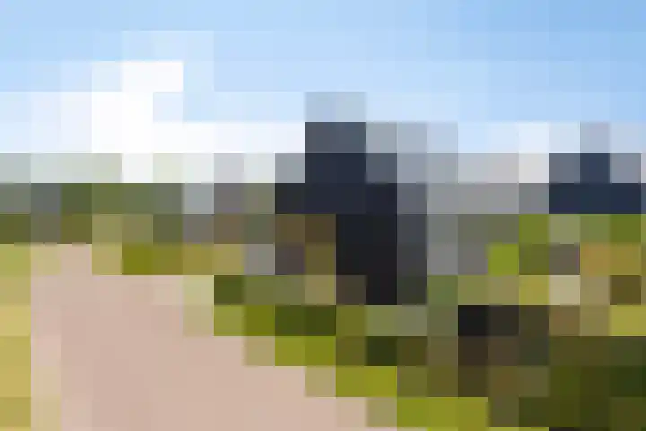 Eikenpage 9 Mierlo thumbnail 5
