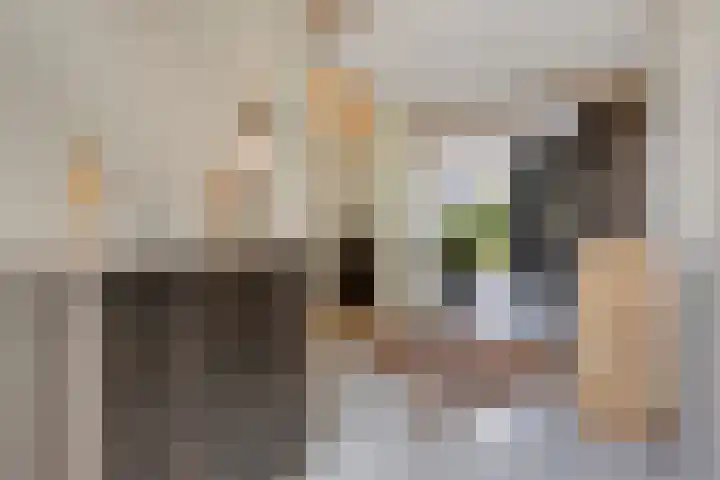 Eikenpage 9 Mierlo thumbnail 6
