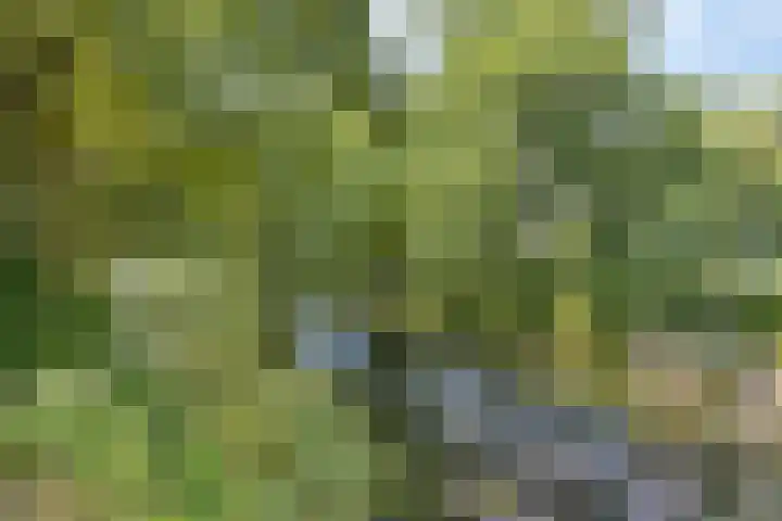 Eikenpage 9 Mierlo thumbnail 62