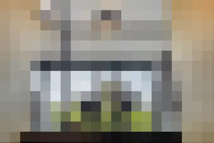 Eikenpage 9 Mierlo thumbnail 8
