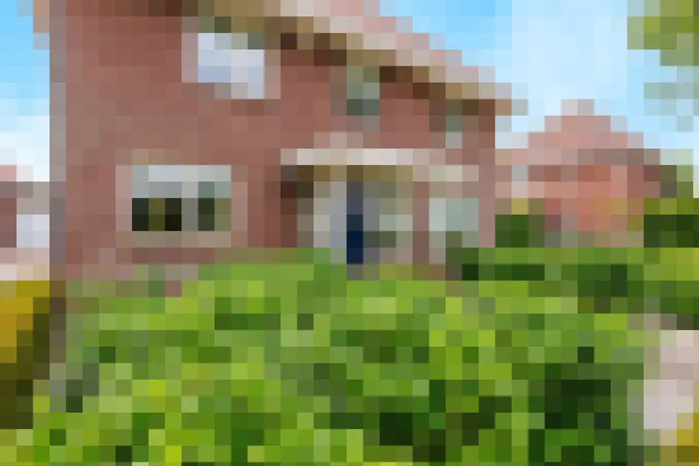 Eikenpark 10 Beuningen Gld thumbnail 69