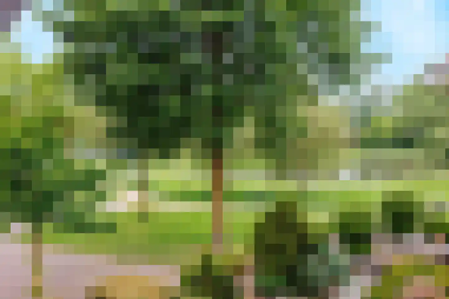 Eikenpark 10 Beuningen Gld thumbnail 73