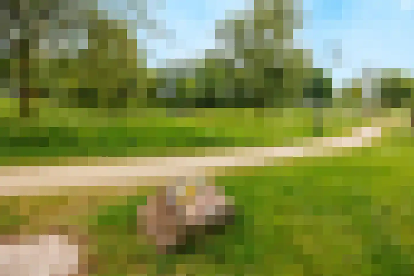 Eikenpark 10 Beuningen Gld thumbnail 75
