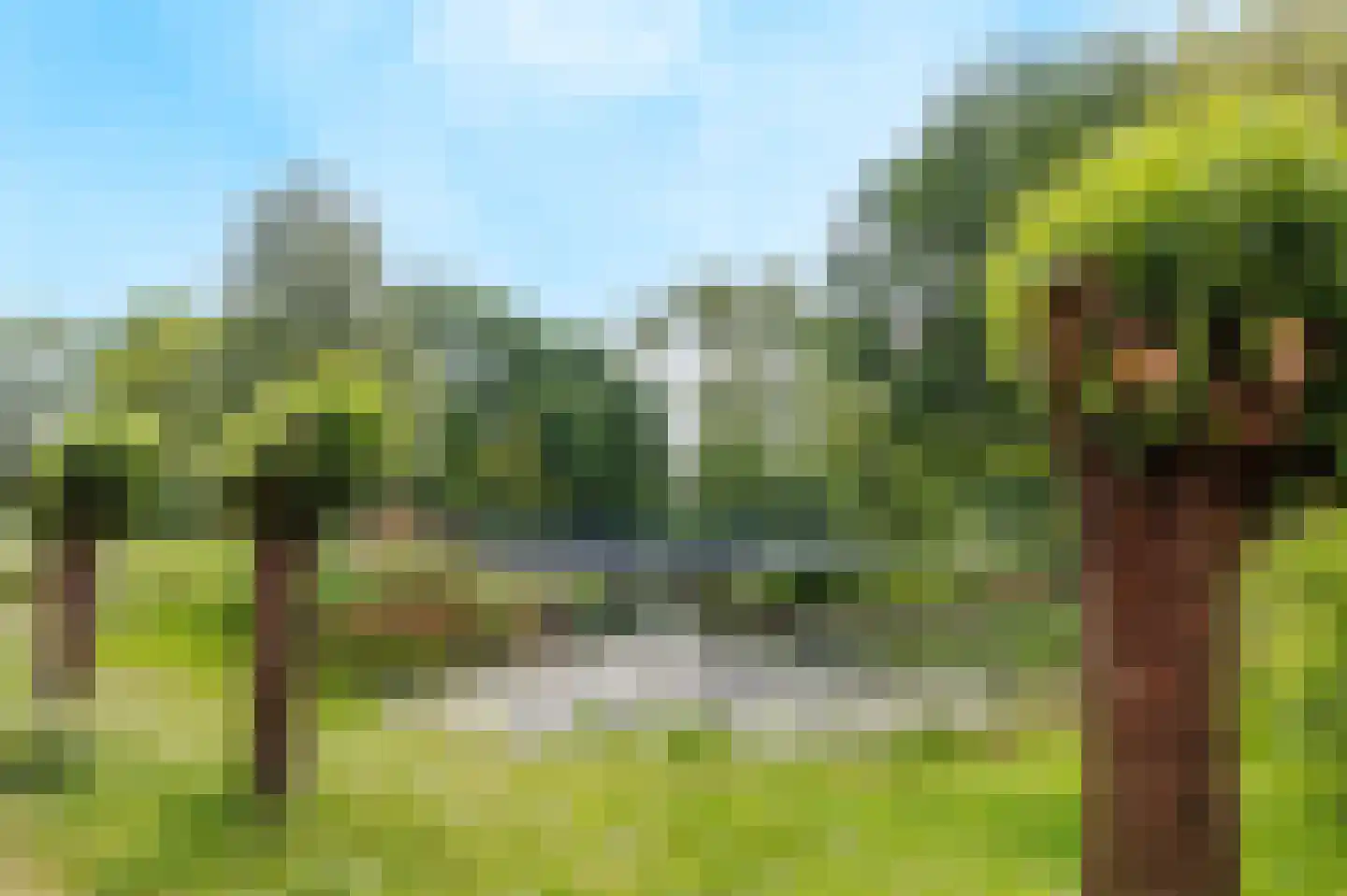 Eikenpark 10 Beuningen Gld thumbnail 77