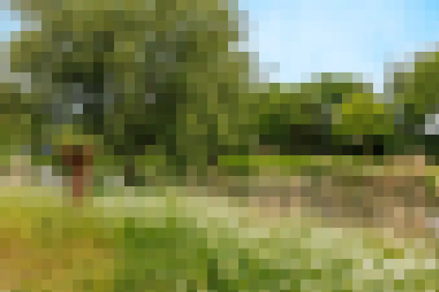 Eikenpark 10 Beuningen Gld thumbnail 78