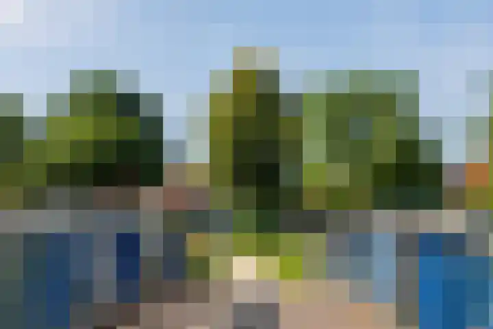 Eikenpark 21 Beuningen Gld thumbnail 51