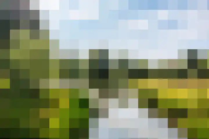 Eikenpark 21 Beuningen Gld thumbnail 52