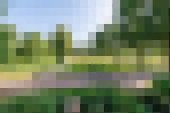 Eikenpark 21 Beuningen Gld thumbnail 55