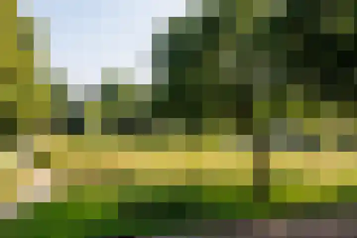 Eikenpark 21 Beuningen Gld thumbnail 56