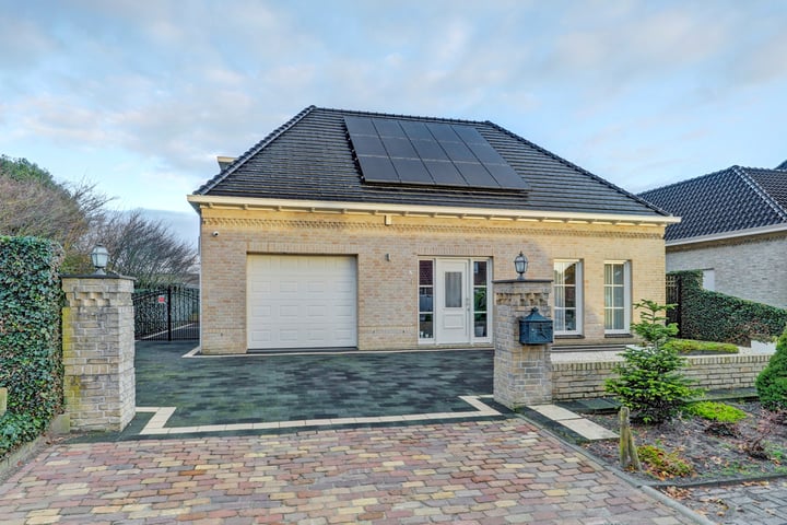 Eikenrijs 3 in St. Willebrord Foto