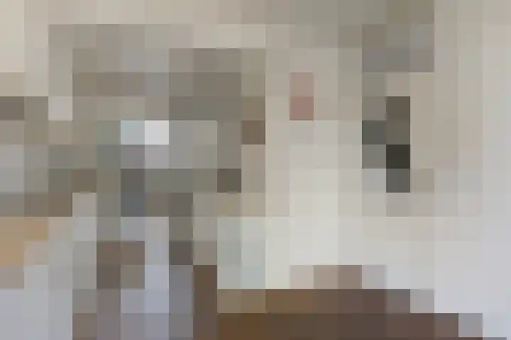 Eikenrode 3 Leiden thumbnail 4