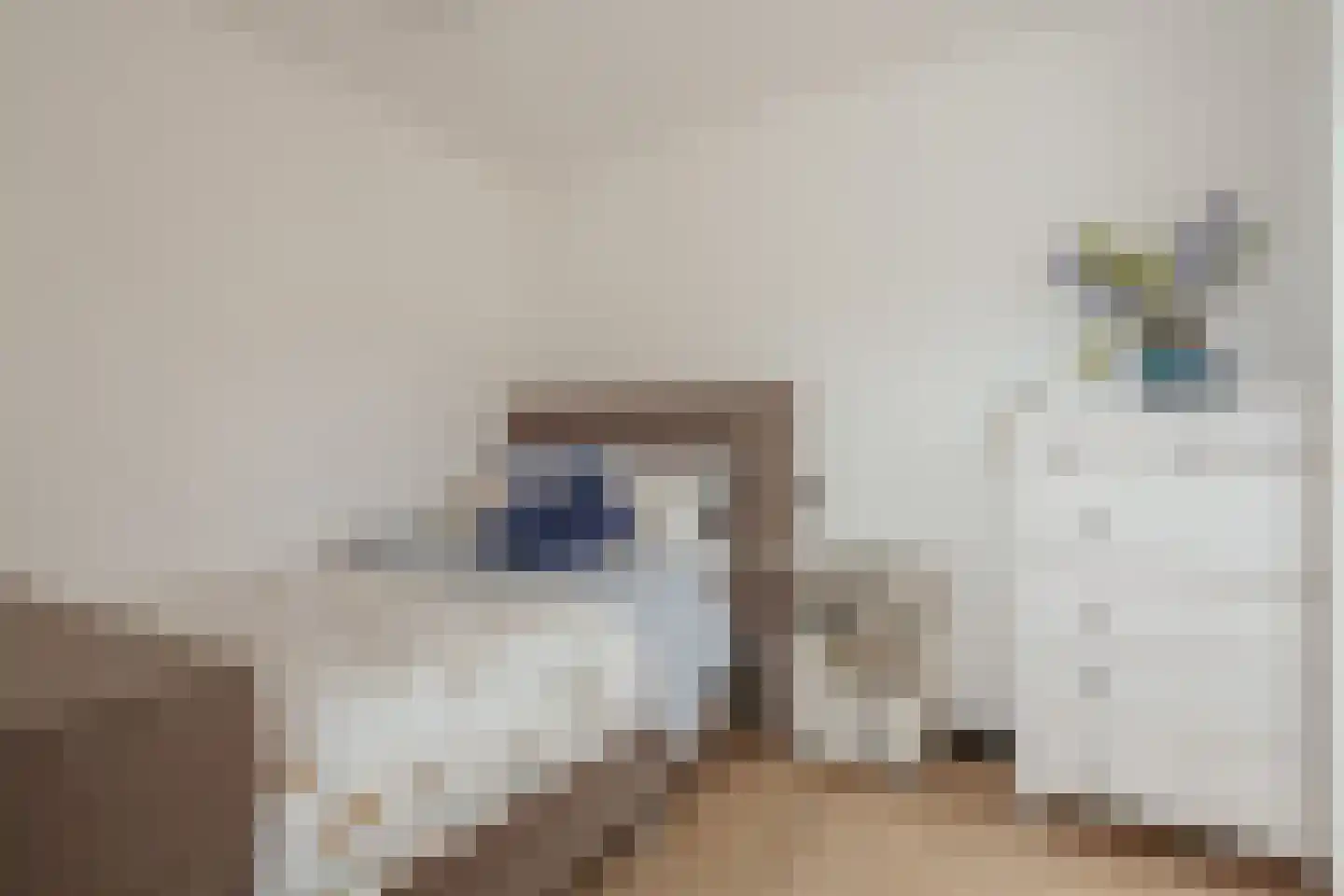 Eikenrodelaan 1 Amstelveen thumbnail 12