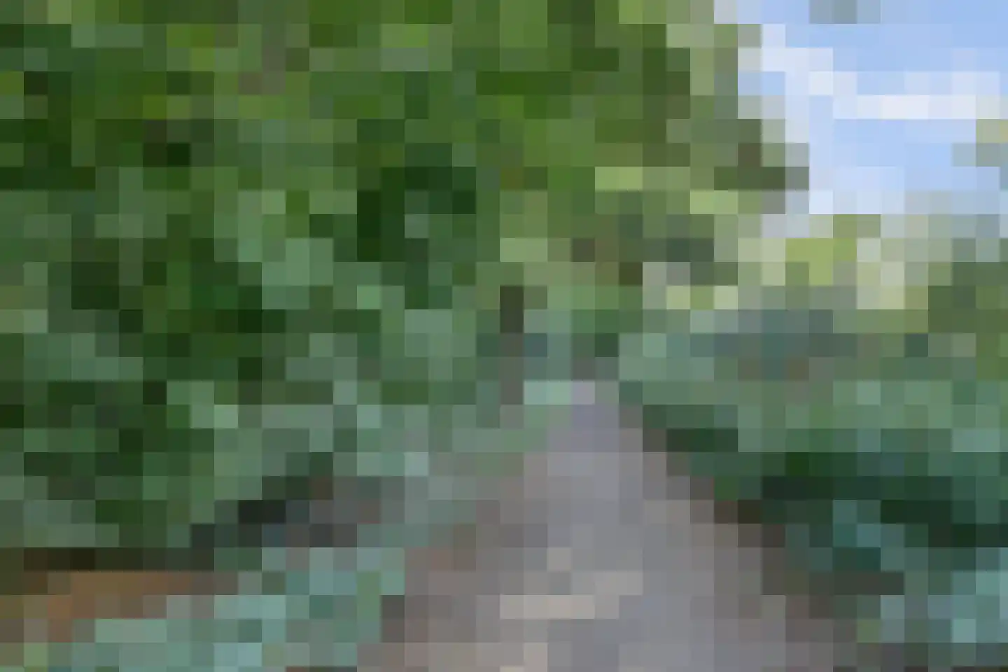 Eikenrodelaan 100 HS Amstelveen thumbnail 19