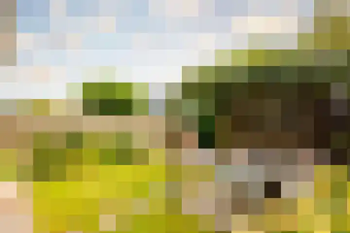 Eikenrodelaan 22 Amstelveen thumbnail 12