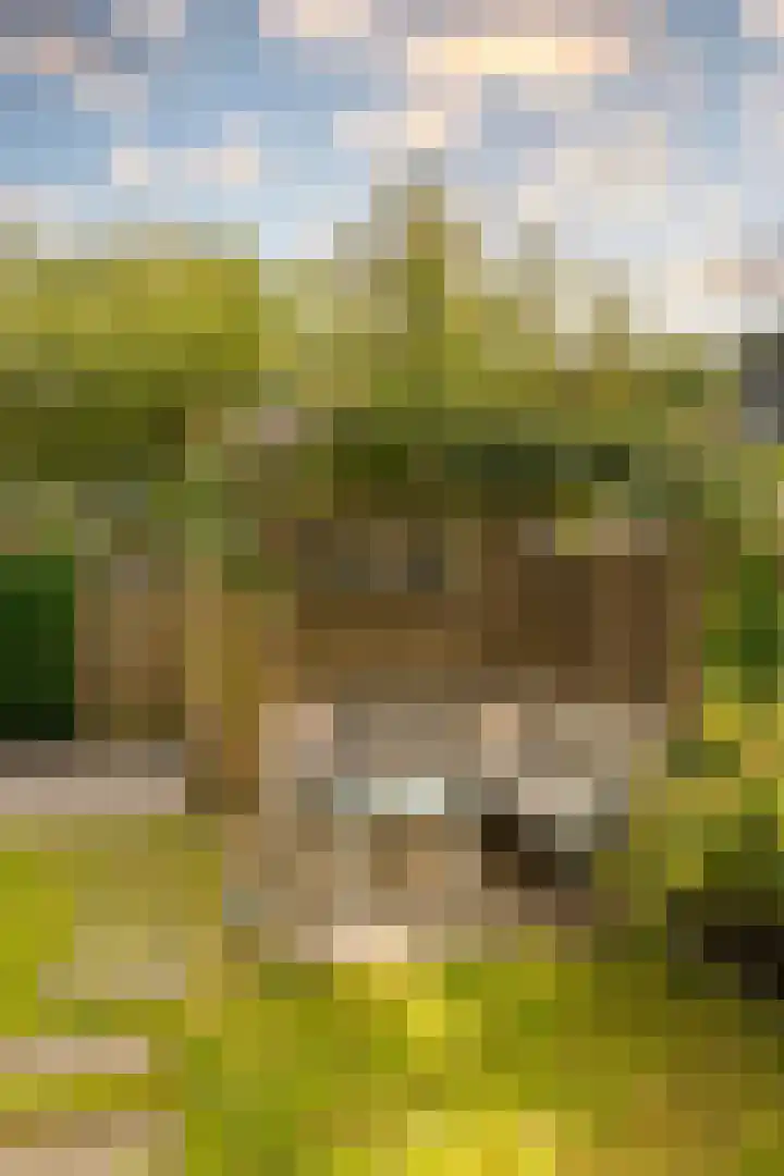 Eikenrodelaan 22 Amstelveen thumbnail 13