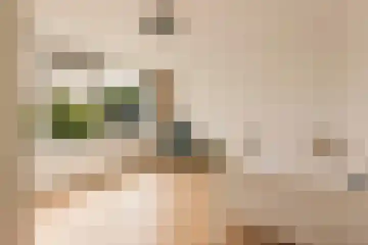 Eikenrodelaan 22 Amstelveen thumbnail 19