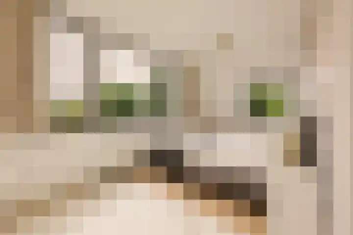 Eikenrodelaan 22 Amstelveen thumbnail 27