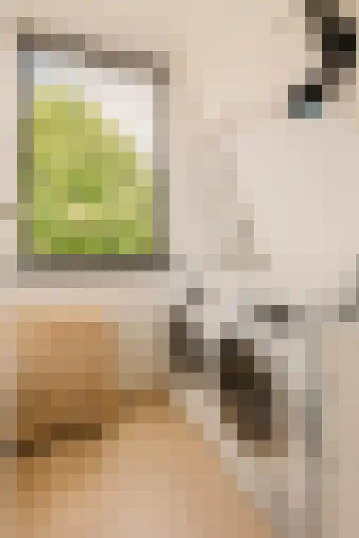 Eikenrodelaan 22 Amstelveen thumbnail 33