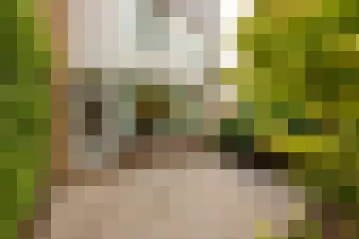 Eikenrodelaan 22 Amstelveen thumbnail 34