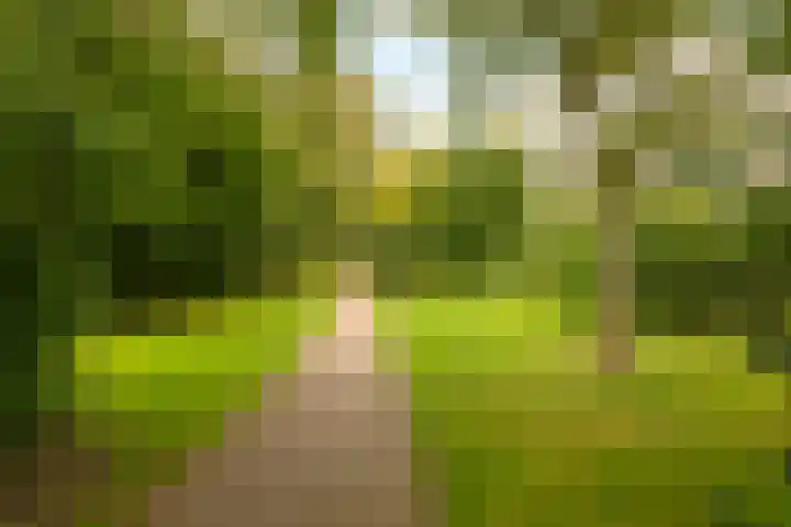 Eikenrodelaan 22 Amstelveen thumbnail 36