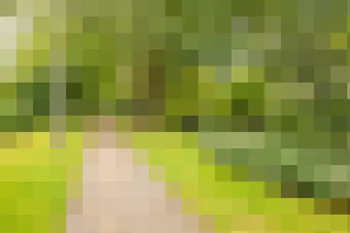Eikenrodelaan 22 Amstelveen thumbnail 37