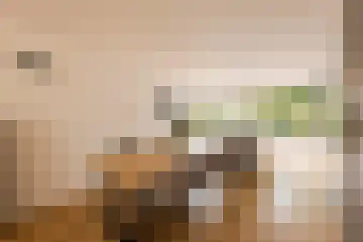 Eikenrodelaan 22 Amstelveen thumbnail 7