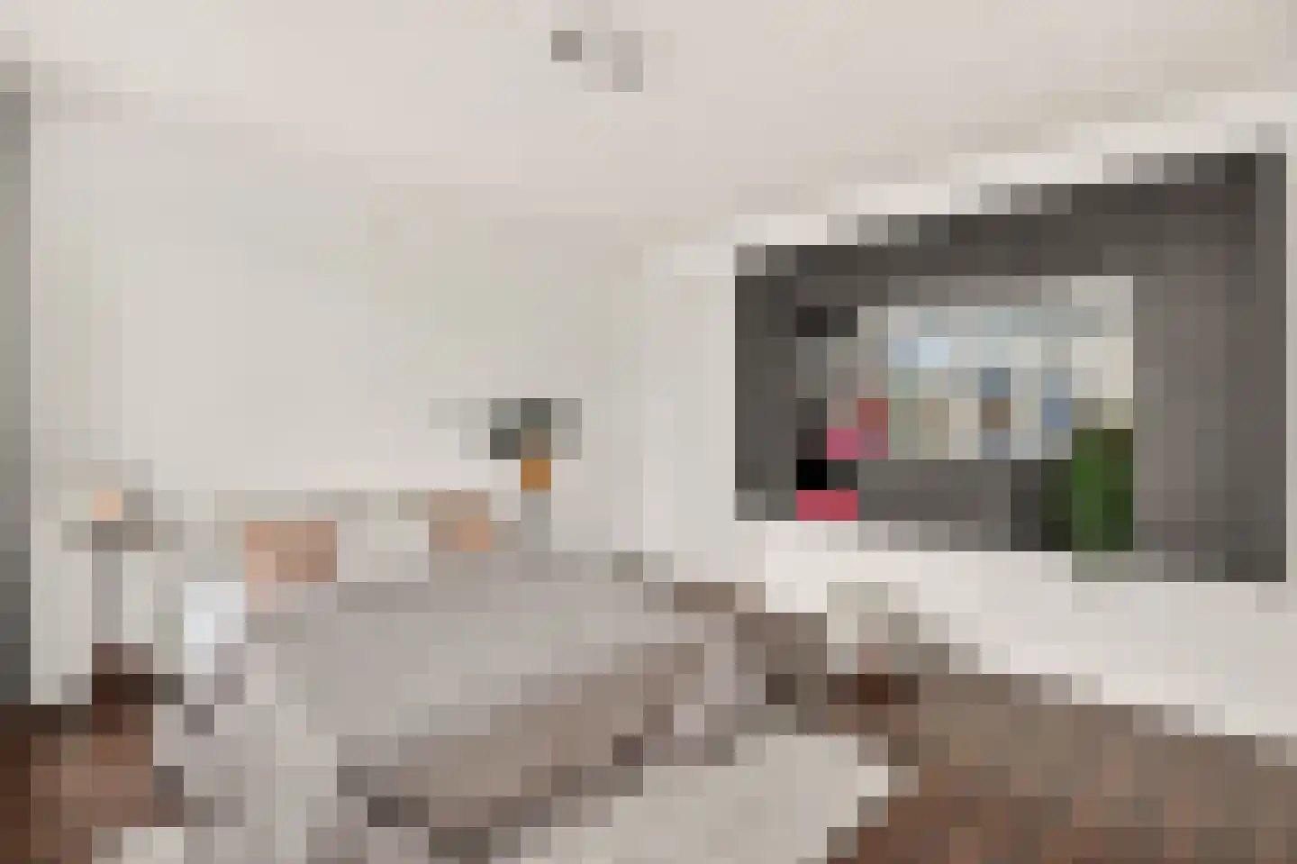 Eikenrodelaan 25 Amstelveen thumbnail 37