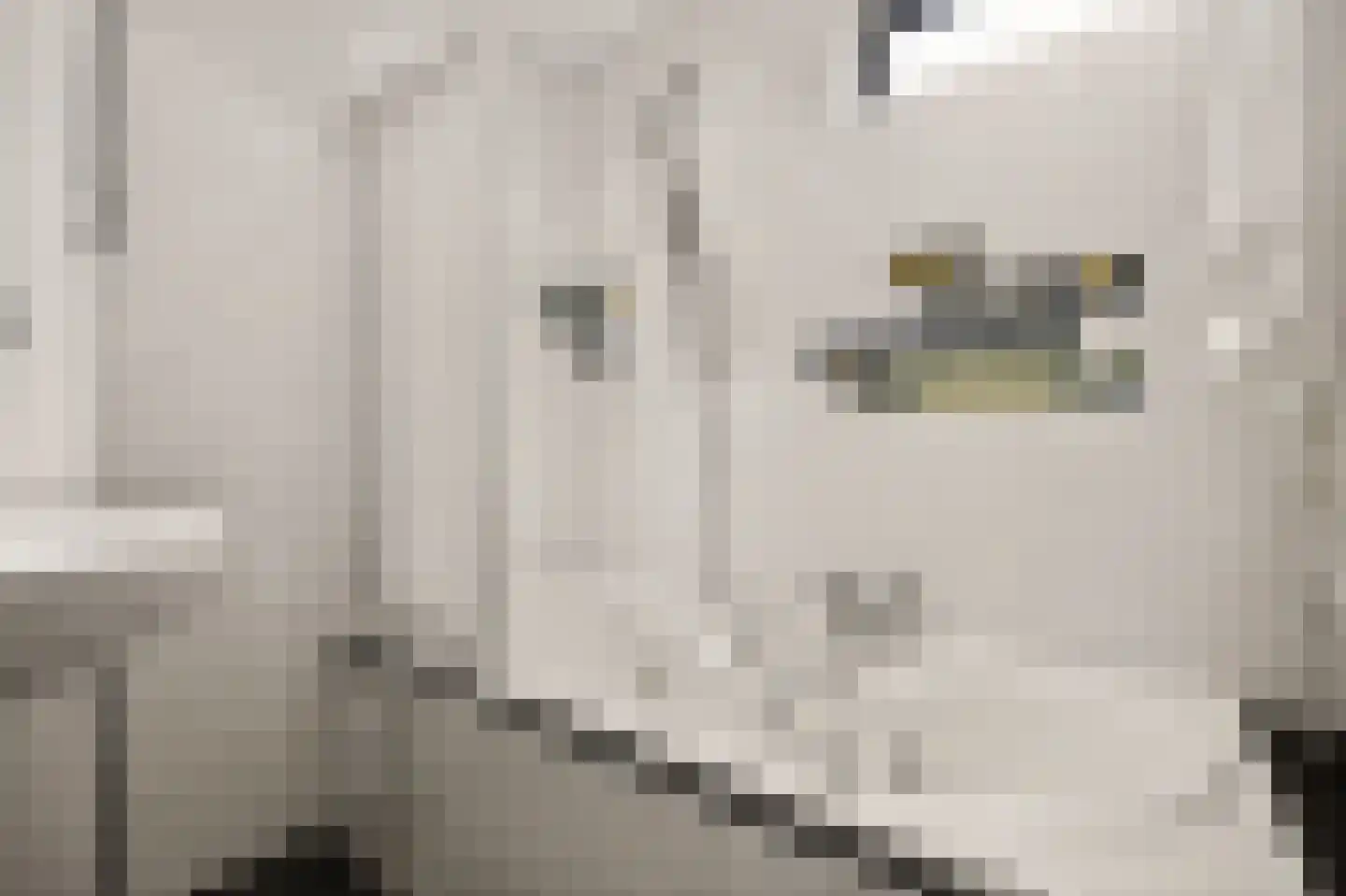 Eikenrodelaan 25 Amstelveen thumbnail 43