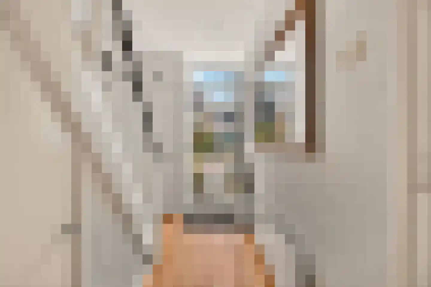 Eikenrodelaan 25 Amstelveen thumbnail 6