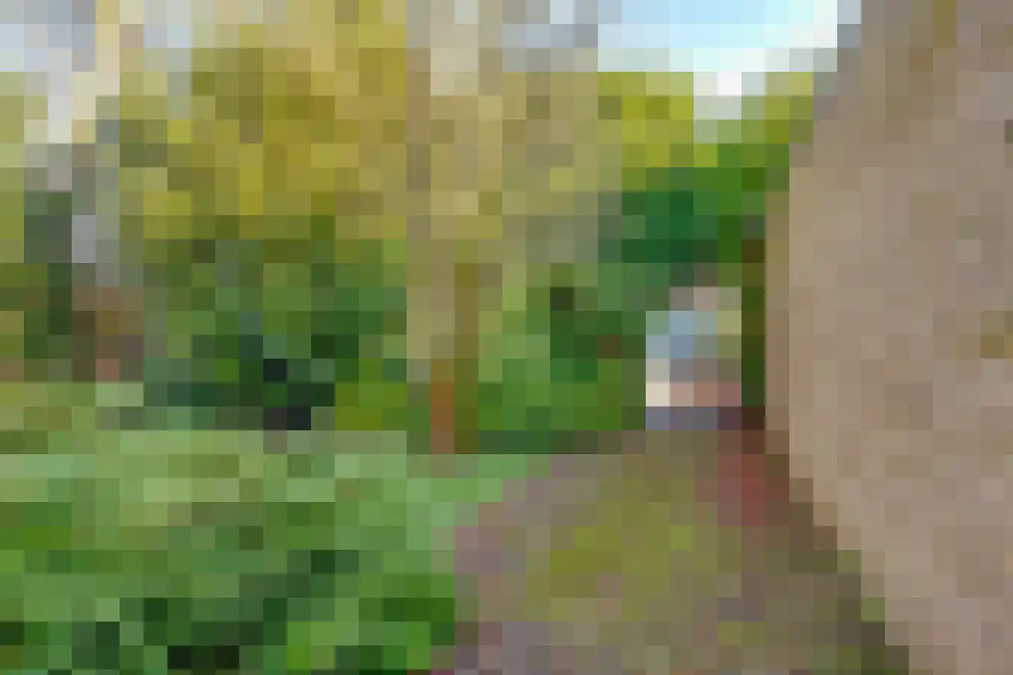 Eikenrodelaan 3 Amstelveen thumbnail 29