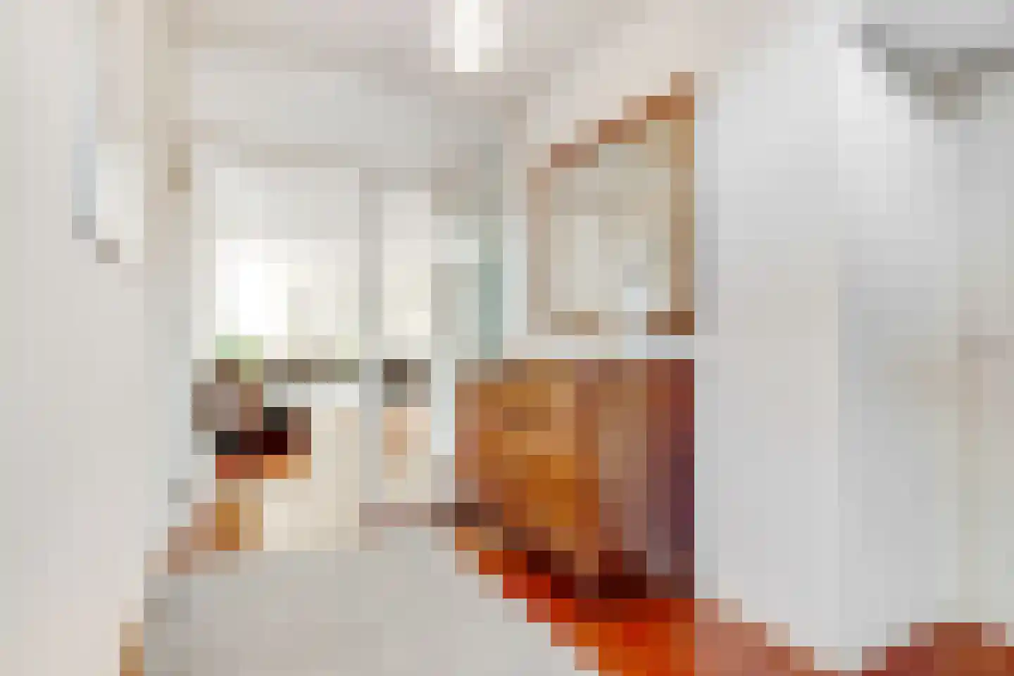 Eikenrodelaan 3 Amstelveen thumbnail 5