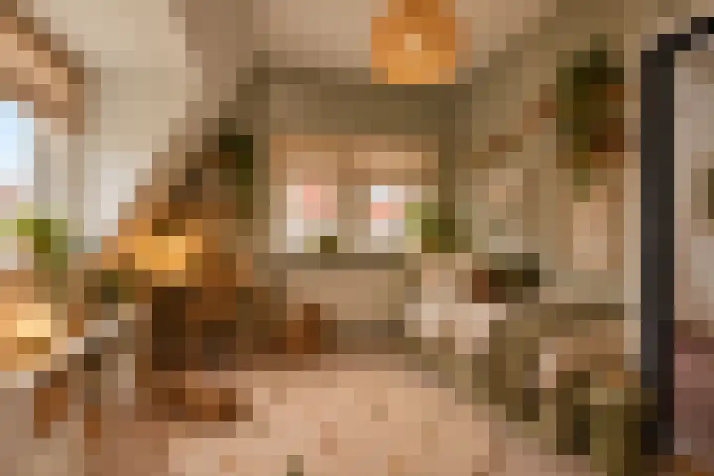 Eikenrodelaan 62 Amstelveen thumbnail 12