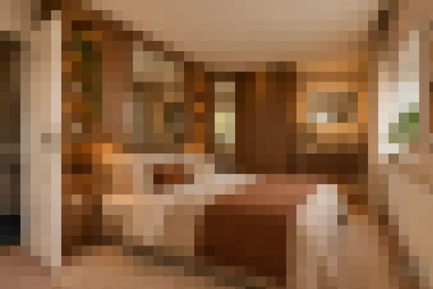 Eikenrodelaan 62 Amstelveen thumbnail 13