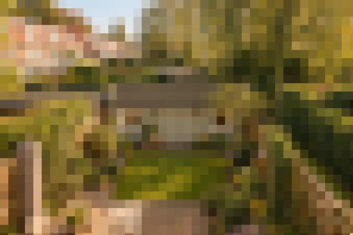Eikenrodelaan 62 Amstelveen thumbnail 18